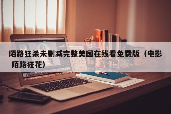 陌路狂杀未删减完整美国在线看免费版(电影 陌路狂花)
