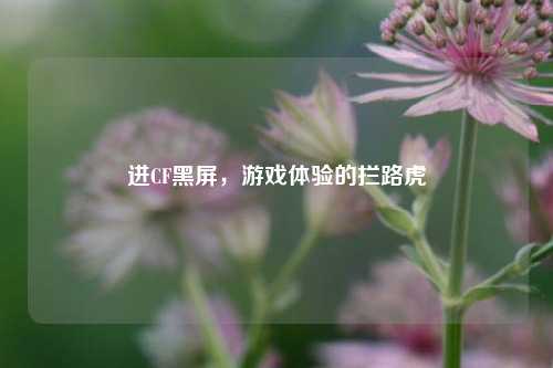 进CF黑屏，游戏体验的拦路虎
