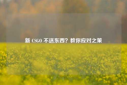 新 CSGO 不送东西？教你应对之策