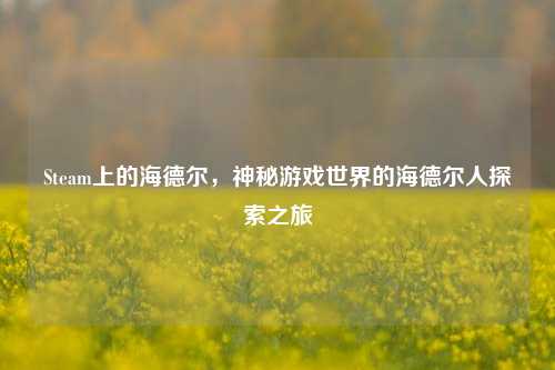 Steam上的海德尔，神秘游戏世界的海德尔人探索之旅