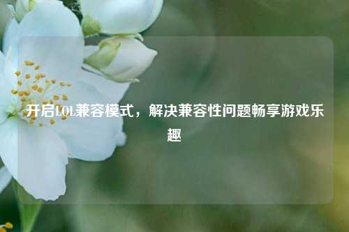 开启LOL兼容模式，解决兼容性问题畅享游戏乐趣