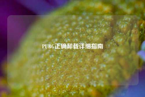 PUBG正确卸载详细指南