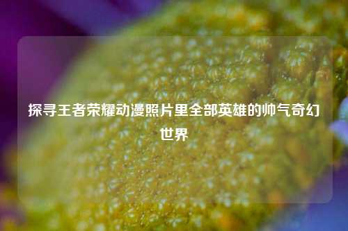 探寻王者荣耀动漫照片里全部英雄的帅气奇幻世界