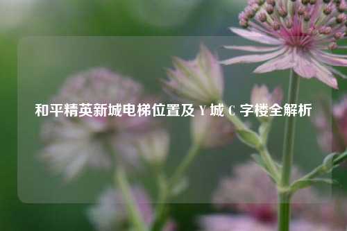 和平精英新城电梯位置及 Y 城 C 字楼全解析