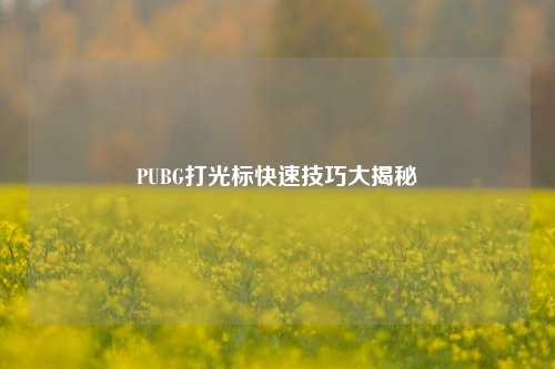 PUBG打光标快速技巧大揭秘