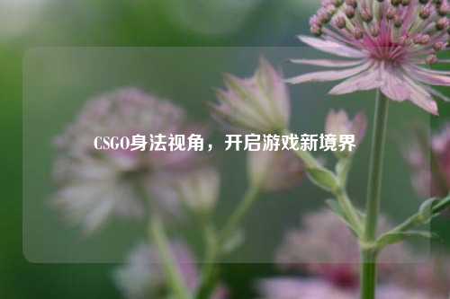 CSGO身法视角，开启游戏新境界