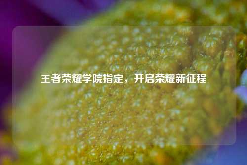 王者荣耀学院指定，开启荣耀新征程