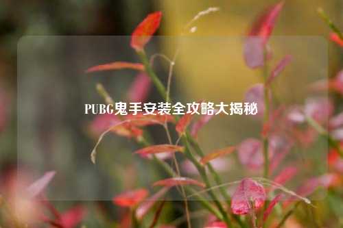 PUBG鬼手安装全攻略大揭秘