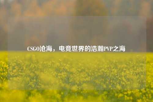 CSGO沧海，电竞世界的浩瀚PVP之海