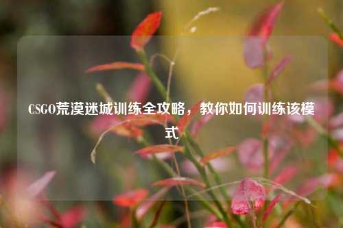 CSGO荒漠迷城训练全攻略，教你如何训练该模式