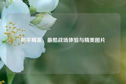和平精英，最酷战场体验与精美图片