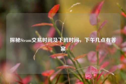 探秘Steam交易时间及下班时间,下午几点有答案