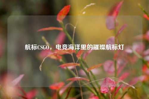 航标CSGO，电竞海洋里的璀璨航标灯
