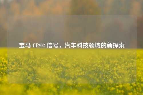 宝马 CF202 信号，汽车科技领域的新探索