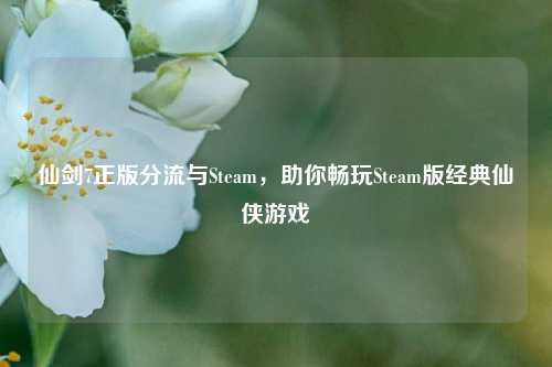 仙剑7正版分流与Steam，助你畅玩Steam版经典仙侠游戏