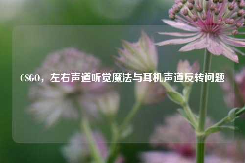 CSGO，左右声道听觉魔法与耳机声道反转问题