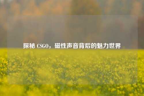 探秘 CSGO，磁性声音背后的魅力世界