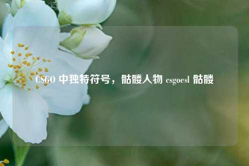 CSGO 中独特符号，骷髅人物 csgoesl 骷髅