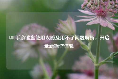 LOL手游键盘使用攻略及用不了问题解析，开启全新操作体验