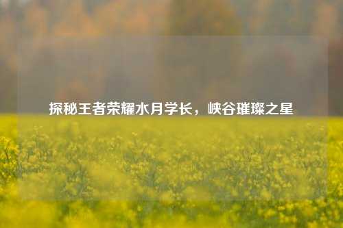 探秘王者荣耀水月学长，峡谷璀璨之星