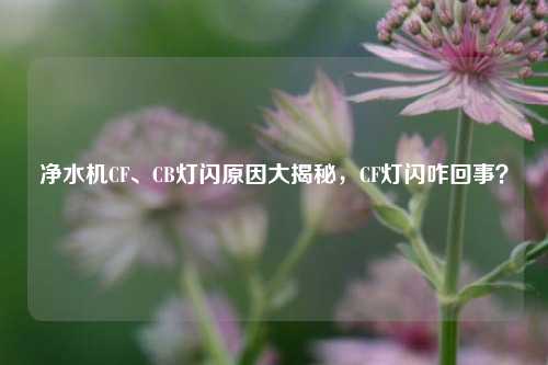 净水机CF、CB灯闪原因大揭秘，CF灯闪咋回事？