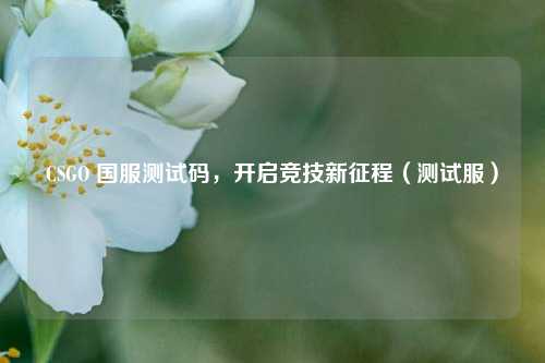 CSGO 国服测试码，开启竞技新征程（测试服）