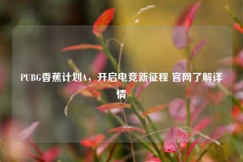 PUBG香蕉计划A，开启电竞新征程 官网了解详情