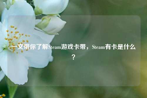 一文带你了解Steam游戏卡带，Steam有卡是什么？