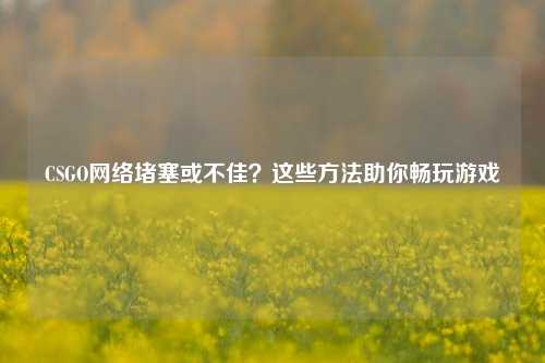 CSGO     堵塞或不佳？这些     助你畅玩游戏