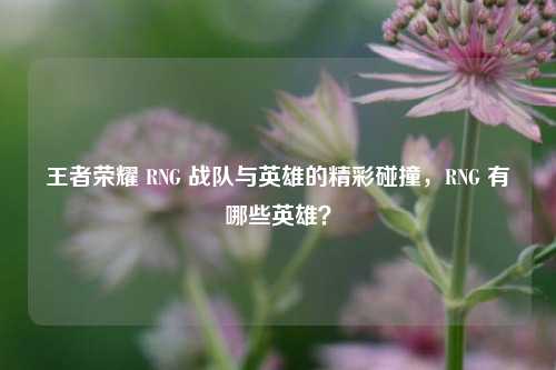 王者荣耀 RNG 战队与英雄的精彩碰撞，RNG 有哪些英雄？