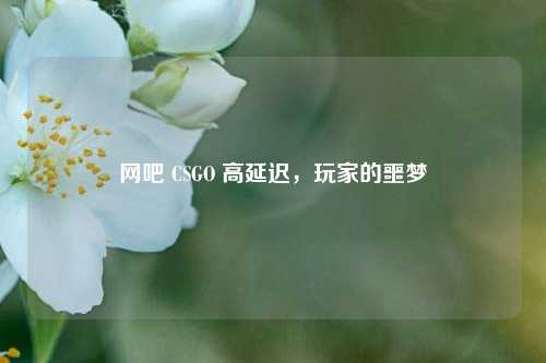 网吧 CSGO 高延迟，玩家的噩梦