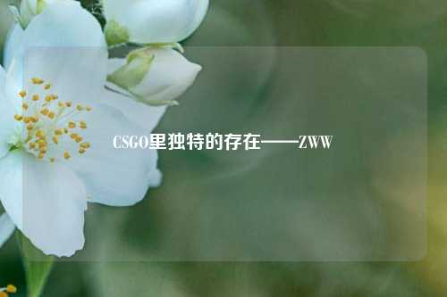 CSGO里独特的存在——ZWW
