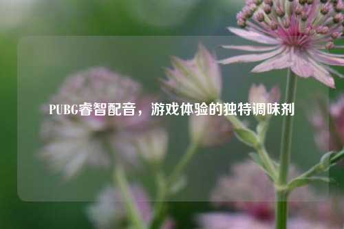 PUBG睿智配音，游戏体验的独特调味剂