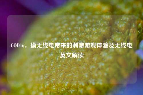 COD16，摸无线电带来的     游戏体验及无线电英文解读