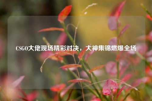 CSGO大佬现场精彩对决，大神集锦燃爆全场