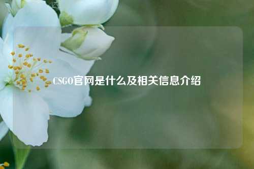 CSGO官网是什么及相关信息介绍