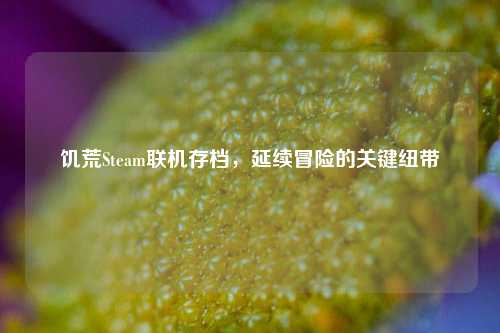 饥荒Steam联机存档，延续冒险的关键纽带