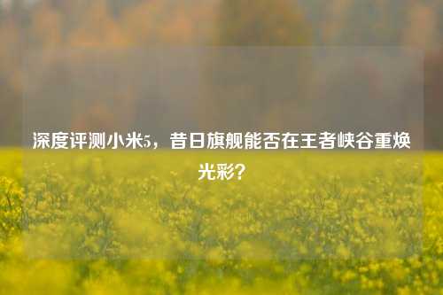 深度评测小米5，昔日旗舰能否在王者峡谷重焕光彩？