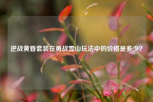 逆战黄昏套装在勇战雪山玩法中的价格是多少？