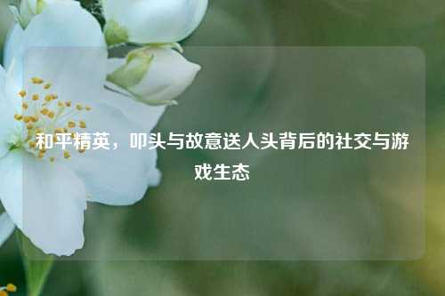 和平精英，叩头与故意送人头背后的社交与游戏生态