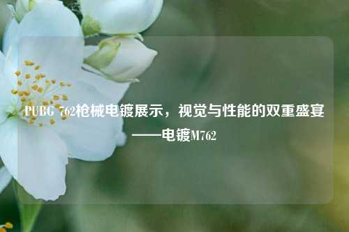 PUBG 762枪械电镀展示，视觉与性能的双重盛宴——电镀M762